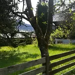 Momo Kitzbühel