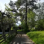 Momo * Kitzbühel