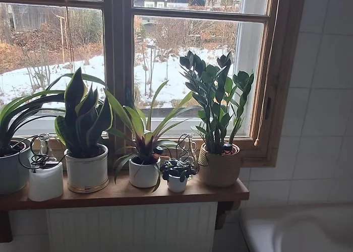 Momo Semesterbostad Kitzbühel