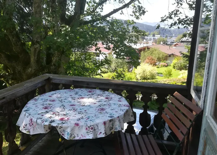 Momo * Kitzbühel