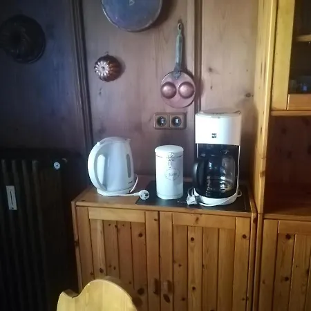 Momo * קיצביהל