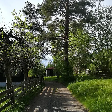 Momo * Kitzbühel