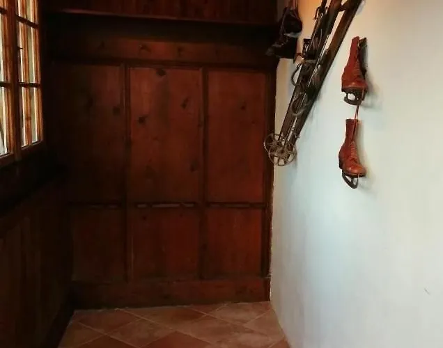 Momo Hébergement de vacances